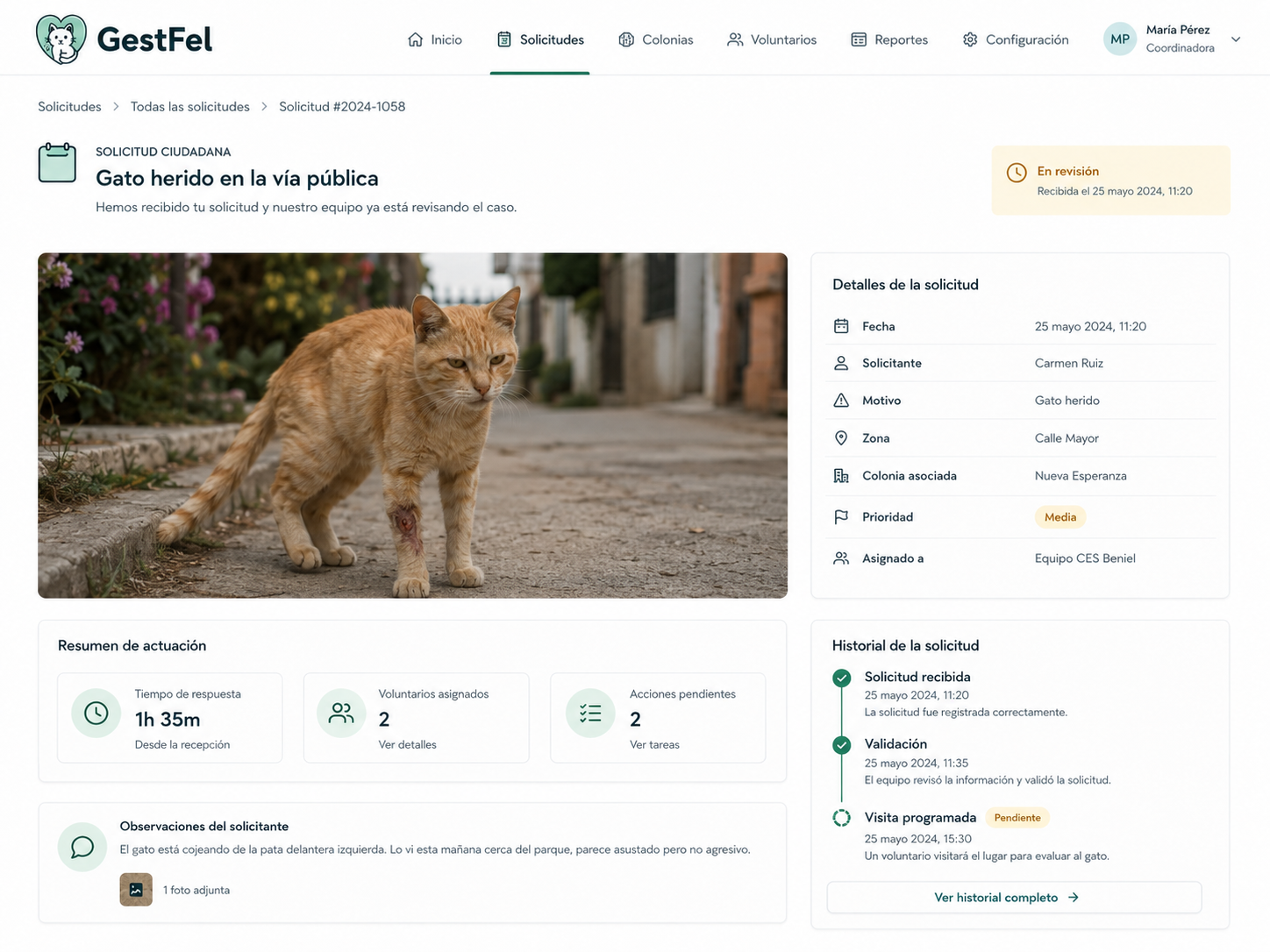 Solicitud ciudadana por gato herido en vía pública