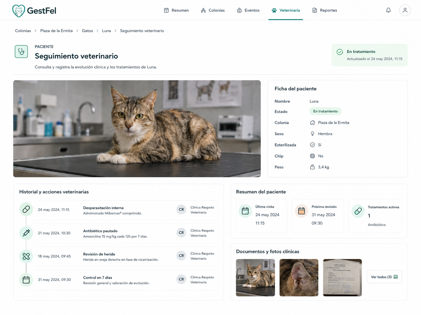 Seguimiento veterinario de una gata llamada Luna